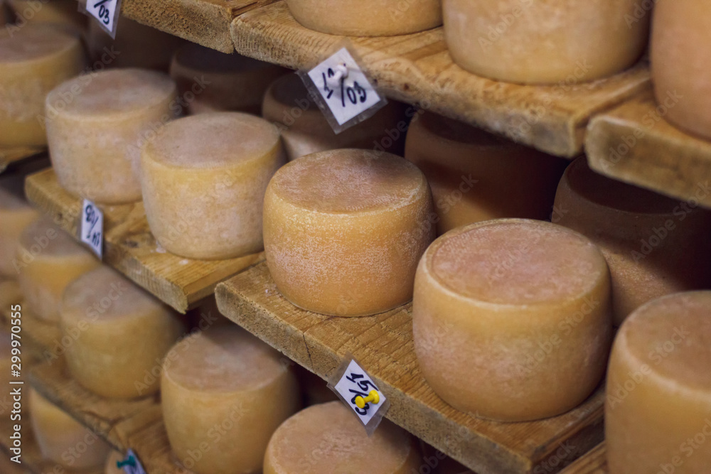 半硬质奶酪在地窖中陈酿。乳制品在工厂储存。牛奶奶酪在货架上