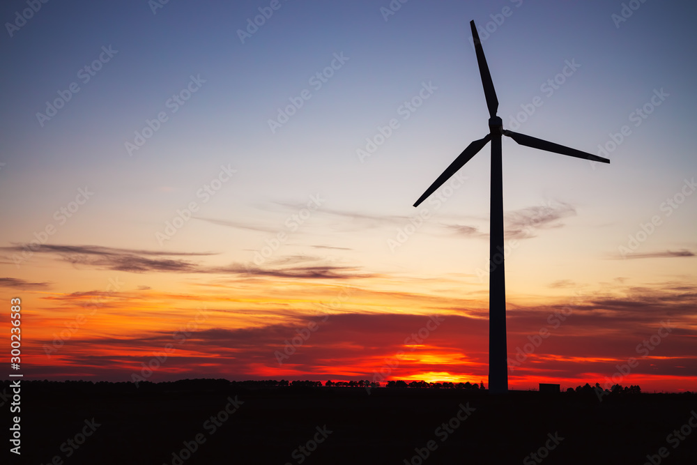 日落时分在田地里发电的风车