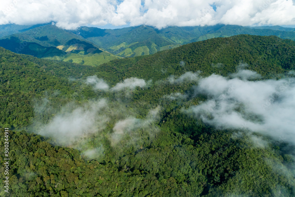 Aerial view drone shot of flowing fog waves on mountain tropical rainforest,Bird eye view image over