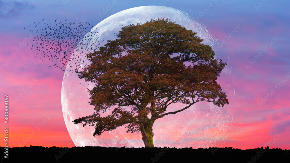 Beautiful landscape with lone tree and silhouete of birds - In the background full moon in amazing s