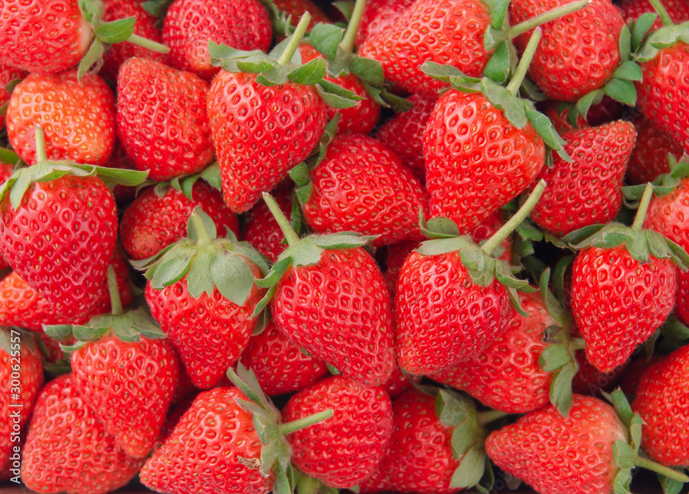 漂亮美味的草莓装在木箱篮子里，有机农业的概念，新鲜的direc