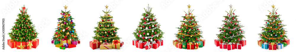 Set of 7 different gorgeous natural Christmas trees with ornaments and gift boxes, studio isolated o