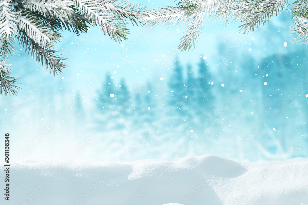 美丽的冬季景观，白雪皑皑的树木。圣诞快乐，新年快乐