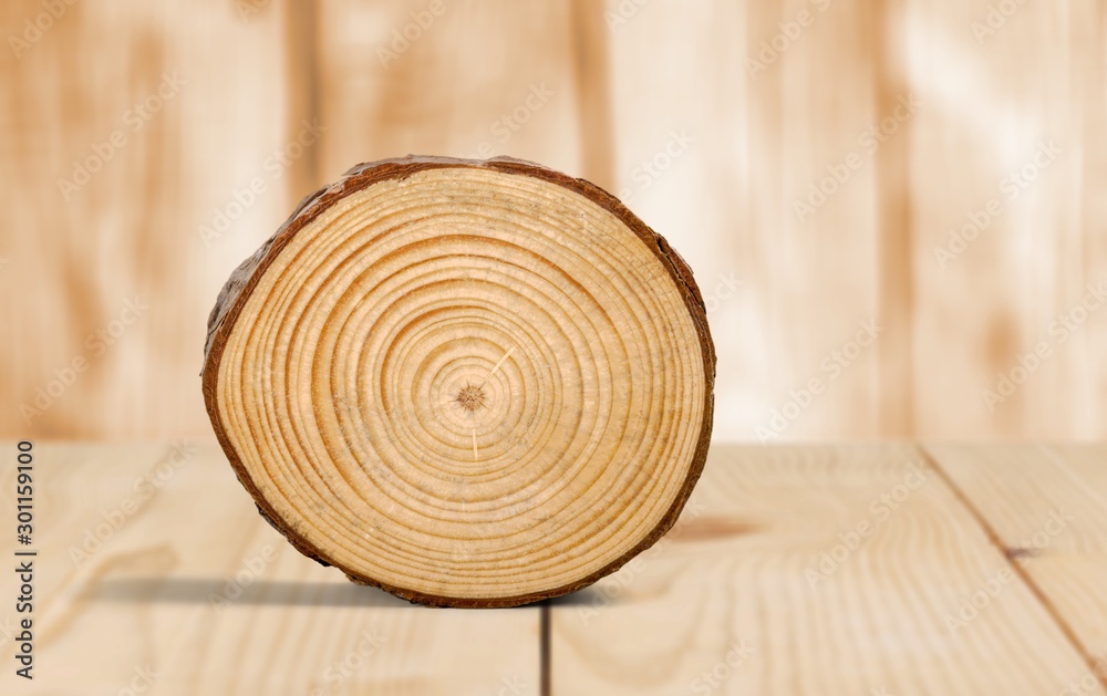Wood round slice on desk