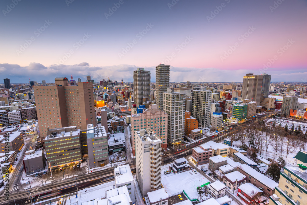 Sapporo, Japan Downtown City Skyline