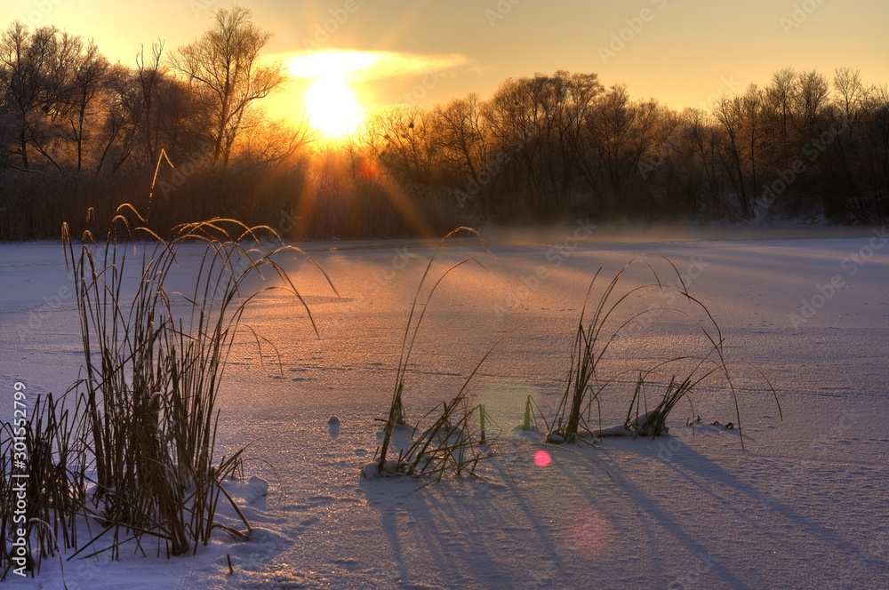 神奇的雪地景观金色的阳光穿过坚硬的树枝，背靠着背景