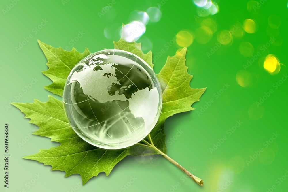 环境理念、玻璃球和绿叶