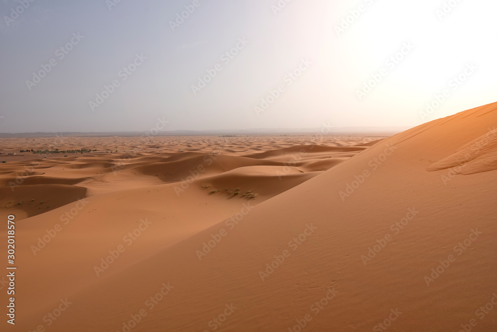 摩洛哥撒哈拉沙漠沙丘之美。撒哈拉沙漠是最大的热点地区