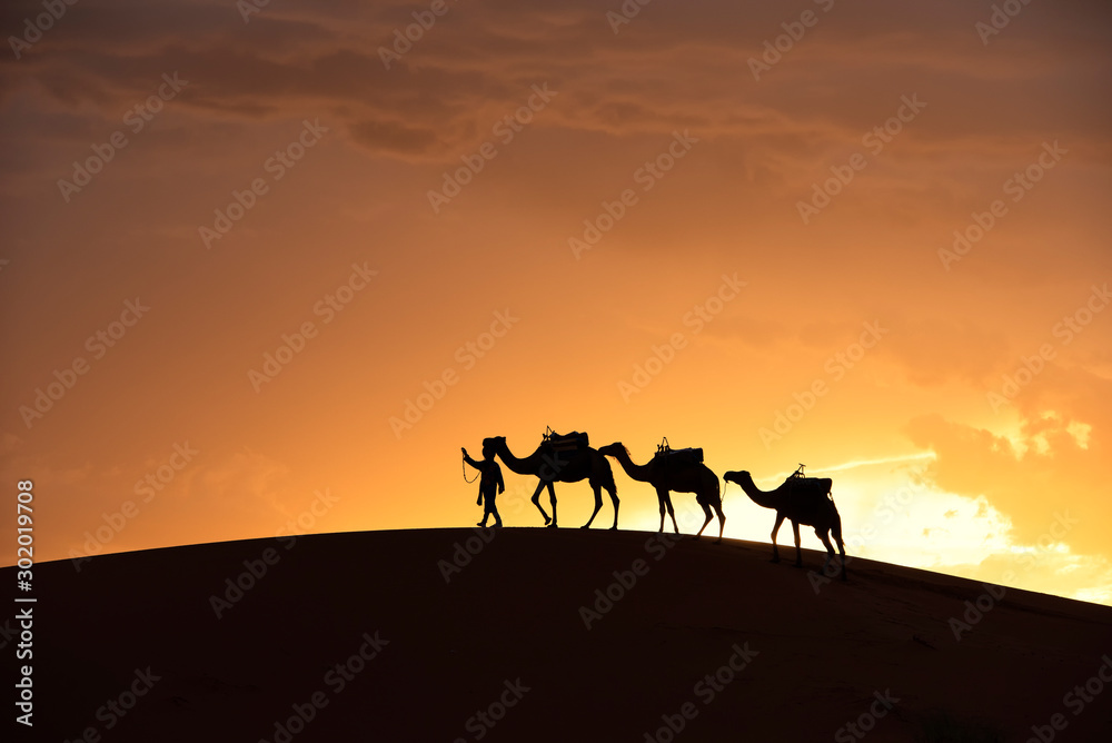 摩洛哥撒哈拉沙漠沙丘之美。撒哈拉沙漠是最大的热点