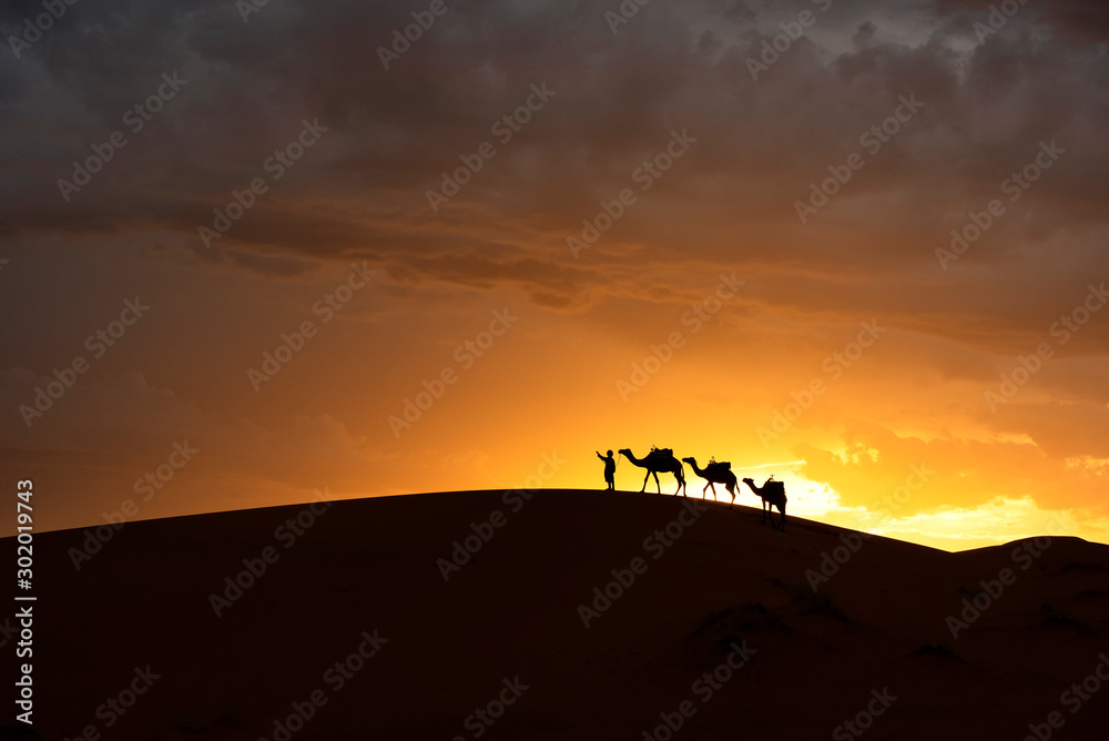 摩洛哥撒哈拉沙漠沙丘之美。撒哈拉沙漠是最大的热土