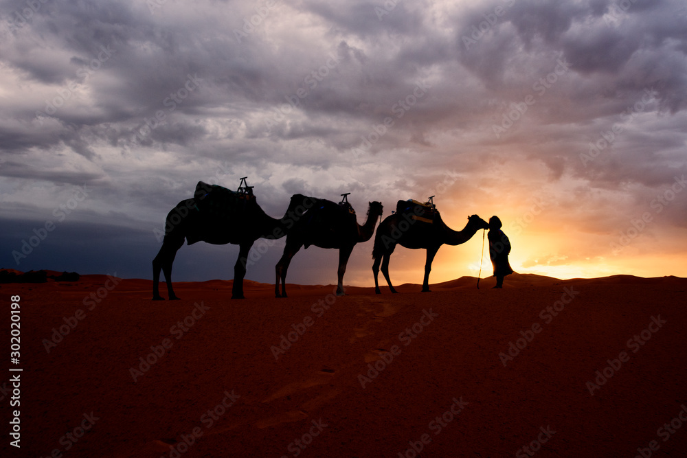摩洛哥撒哈拉沙漠沙丘之美。撒哈拉沙漠是最大的热点地区