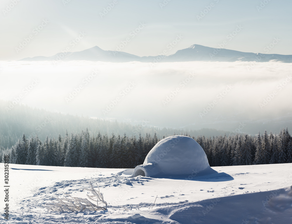 喀尔巴阡山脉冬季的真正雪屋。佛罗里达州白雪覆盖的冷杉和山峰