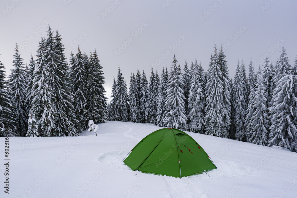 雾蒙蒙的松林背景下的绿色帐篷。令人惊叹的雪景。游客扎营
