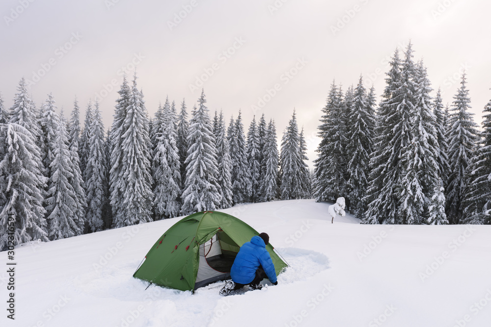 Green tent and tourist against the backdrop of snowy pine tree forest. Amazing winter landscape. Tou