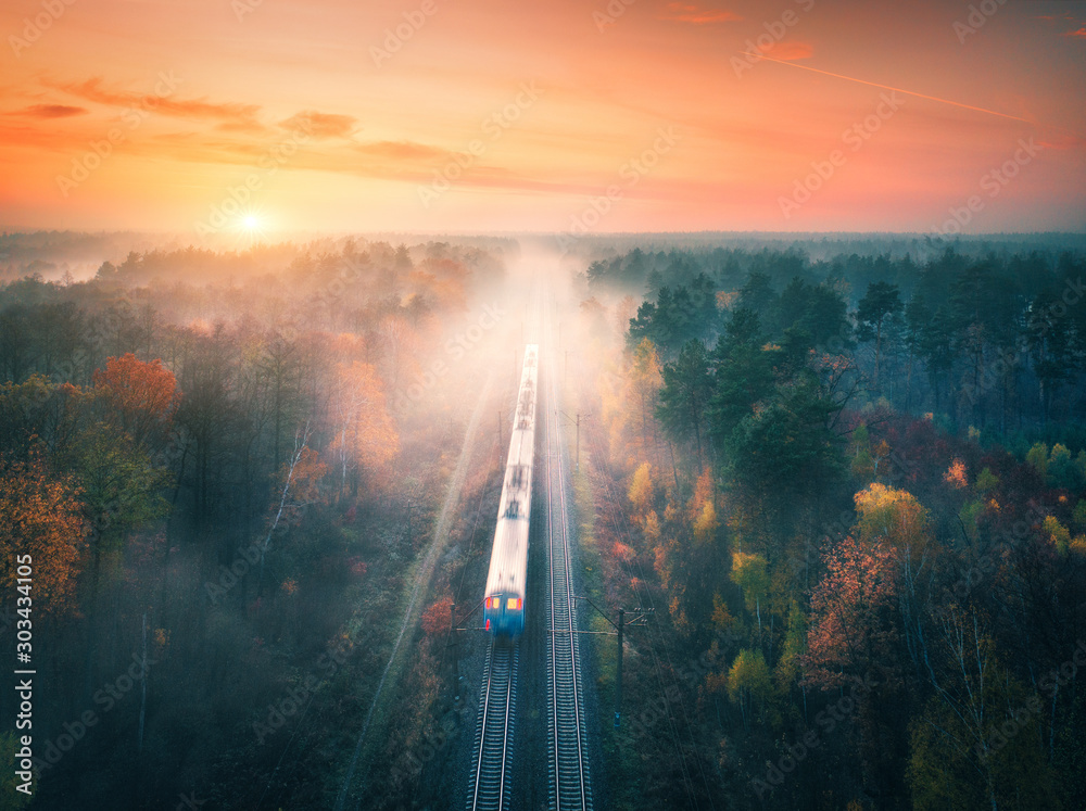 秋天日落时，在雾中的彩色森林中火车。鸟瞰图