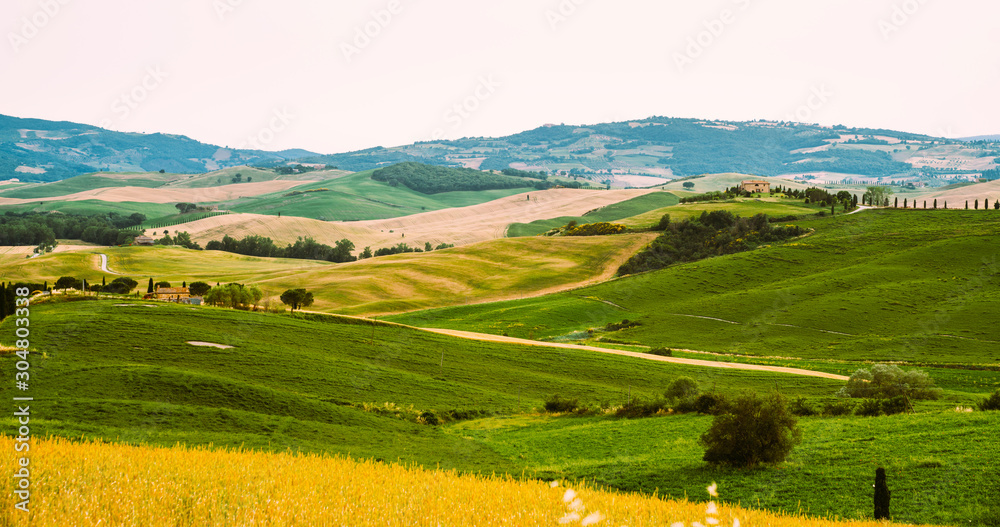 托斯卡纳，乡村秋季景观。乡村农场，柏树，绿色和金色的田野。意大利，欧洲