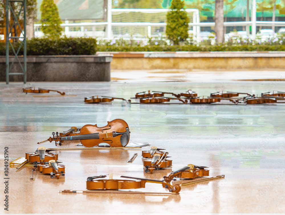 Violin on the cement  floor. Many violins for students to play at the school.