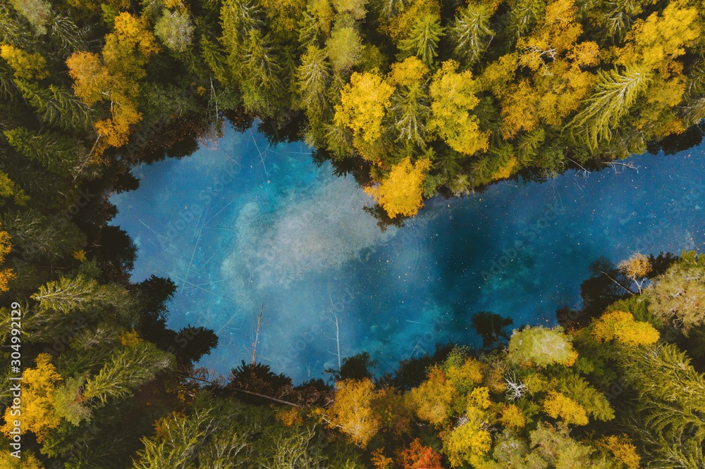 秋天的森林和蓝色的湖泊鸟瞰图绿松石水的倒影框住了五颜六色的松树景观
