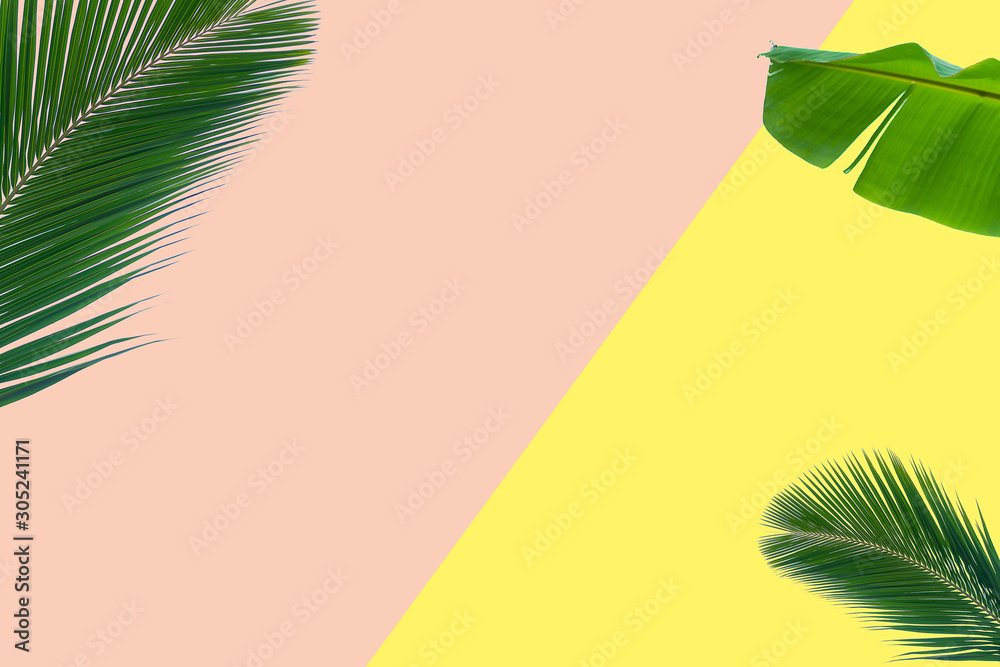 绿色热带棕榈叶的创意平面俯视图，千年粉色纸背景为菠萝