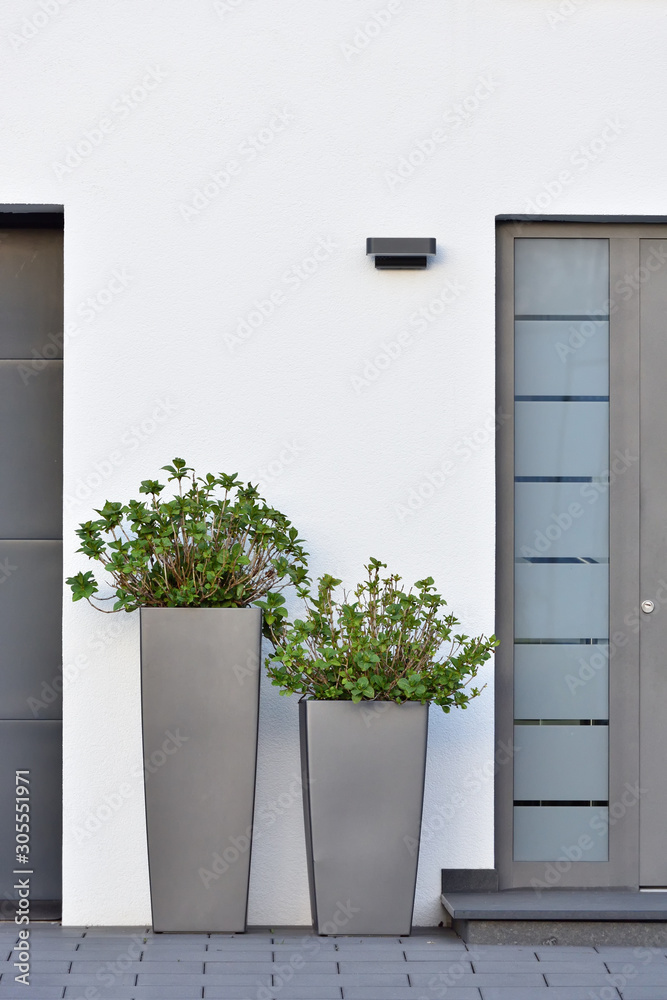灰色大盆，带绿色灌木，灰色门。现代房子入口处的植物