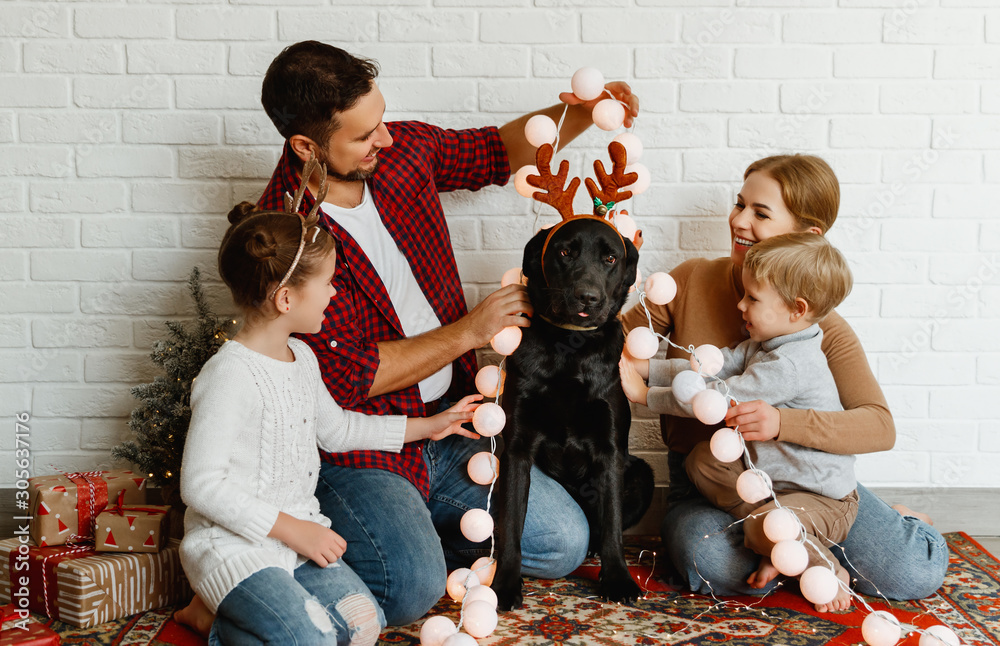 圣诞快乐！家庭母亲父亲和孩子们在圣诞节前带着狗，带着花环和树