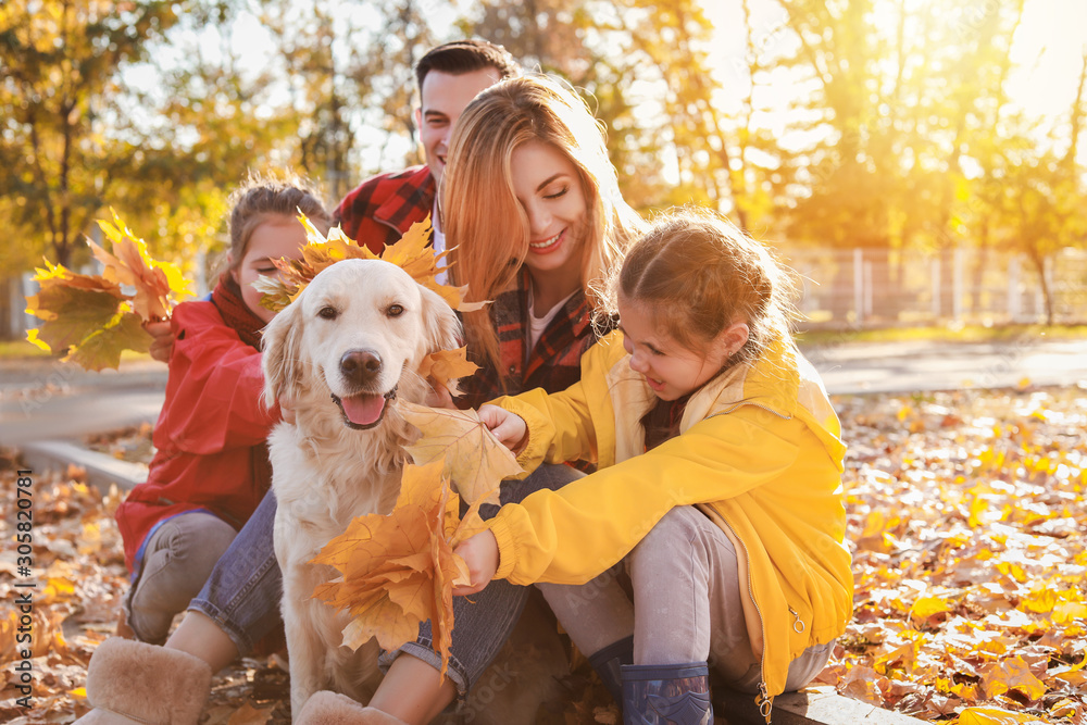 快乐的一家人，狗狗在秋季公园休息