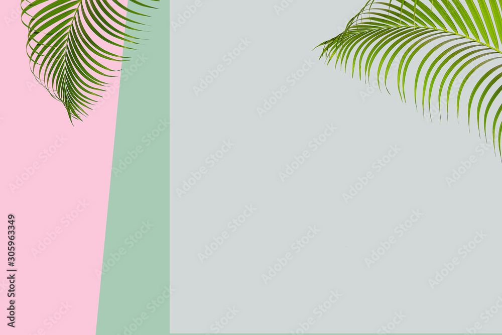 Creative flat lay top view of green tropical palm leaves millennial pink paper background with pinea