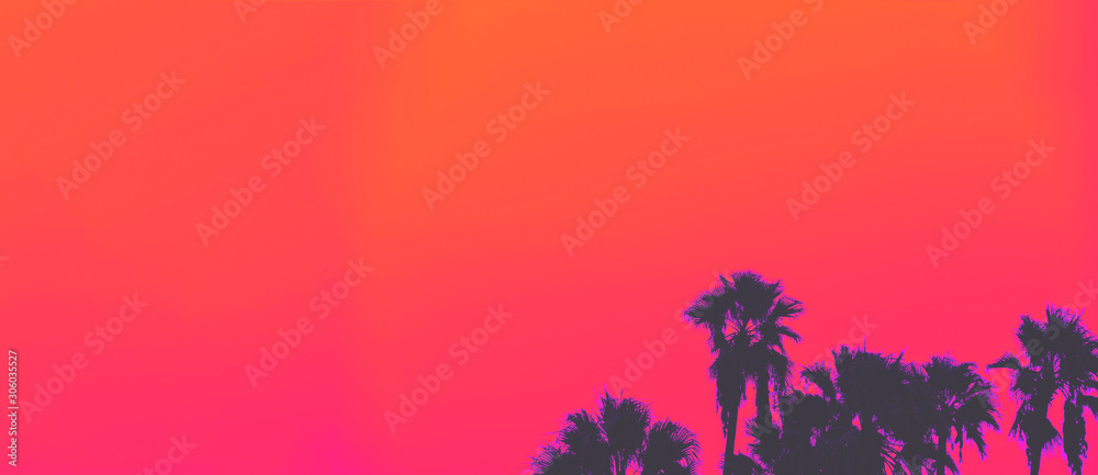 洛杉矶棕榈树合成波风格的美丽日落