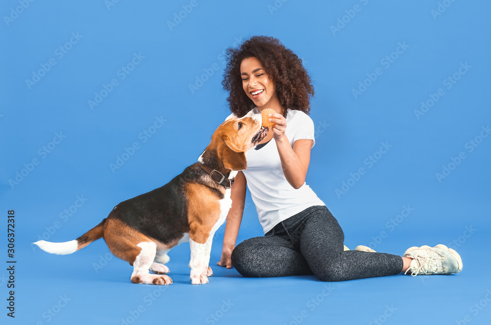 Beautiful African-American woman training her dog on color background