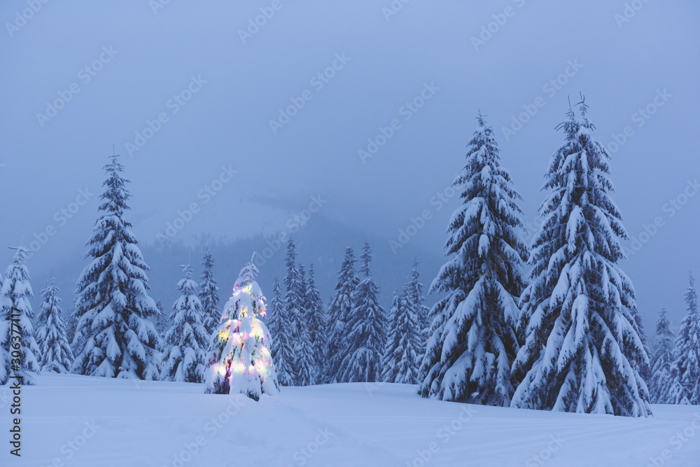 冬季山区的圣诞树、雪和灯光的假日景观。新年庆祝活动