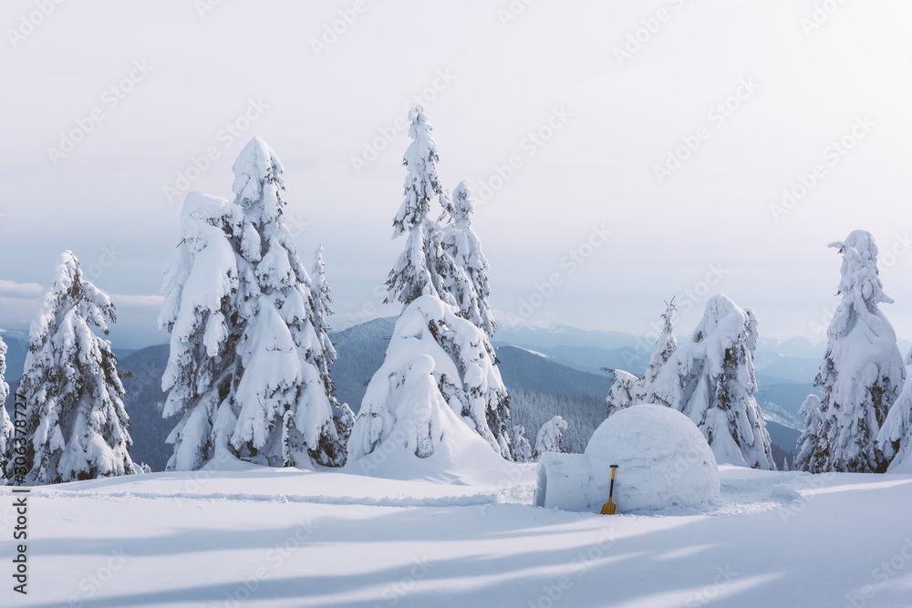 喀尔巴阡山脉冬季的真正雪屋。背景是白雪覆盖的冷杉