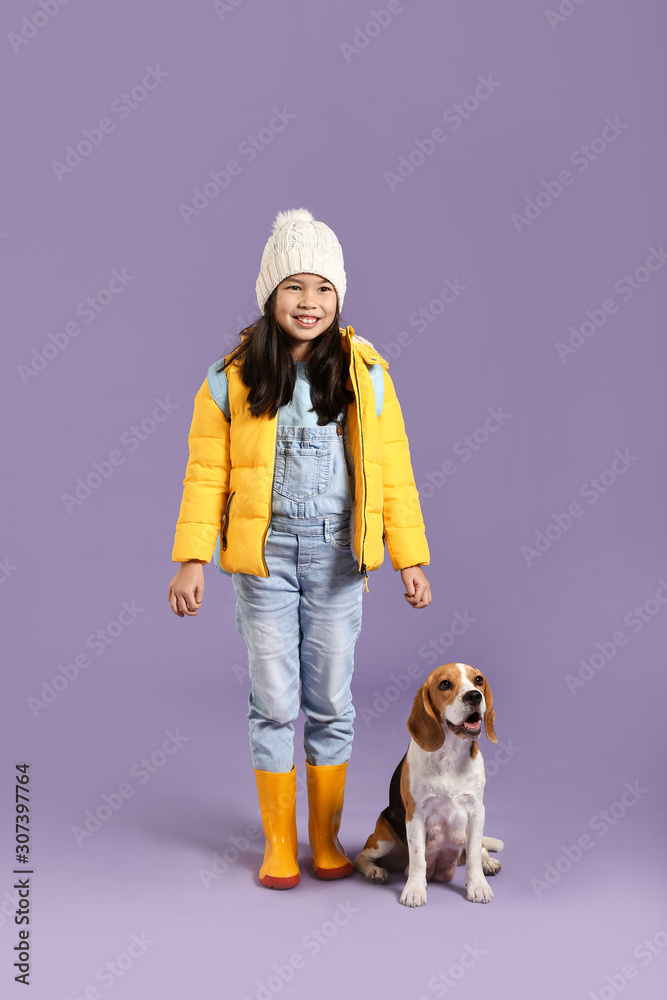 亚洲小女孩，背景是可爱的小猎犬