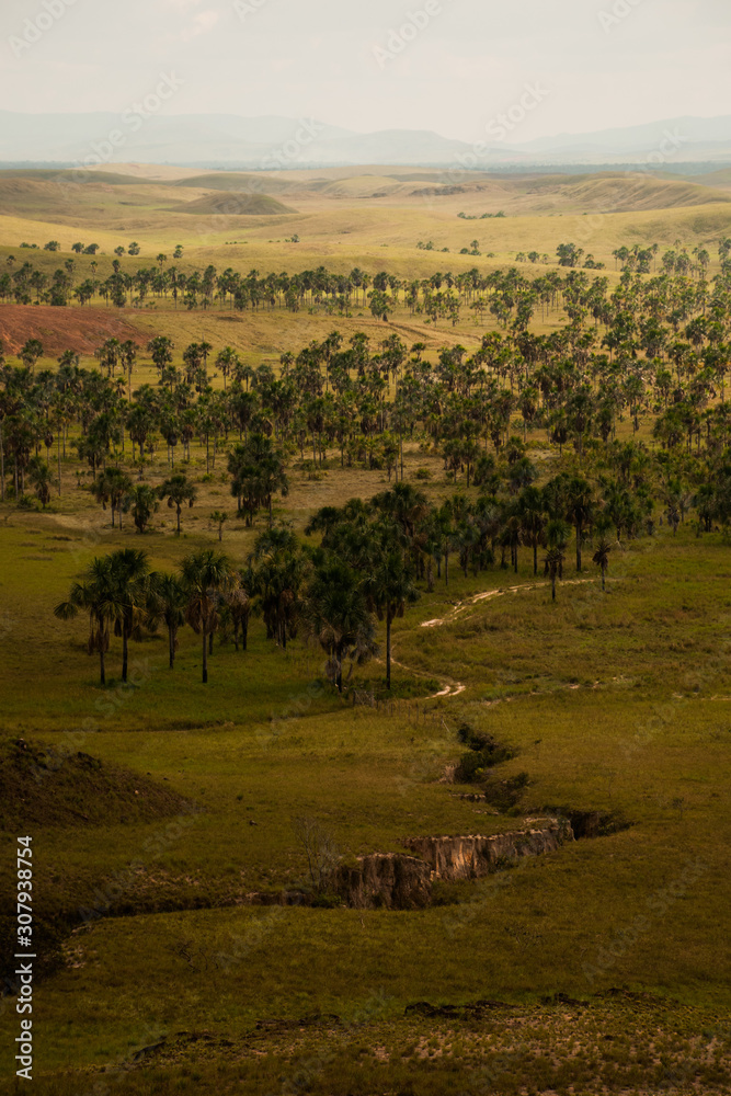 Venezuelan savannah landscape on the border with Brazil. Santa Elena de Uairén, Venezuela