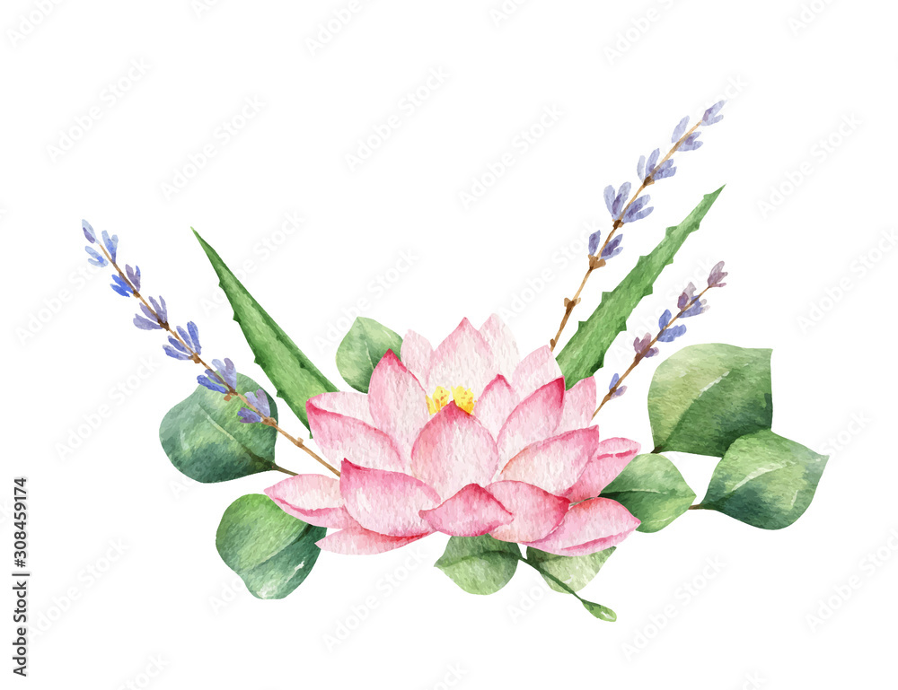 Watercolor vector composition of Lotus flower and branch of eucalyptus.