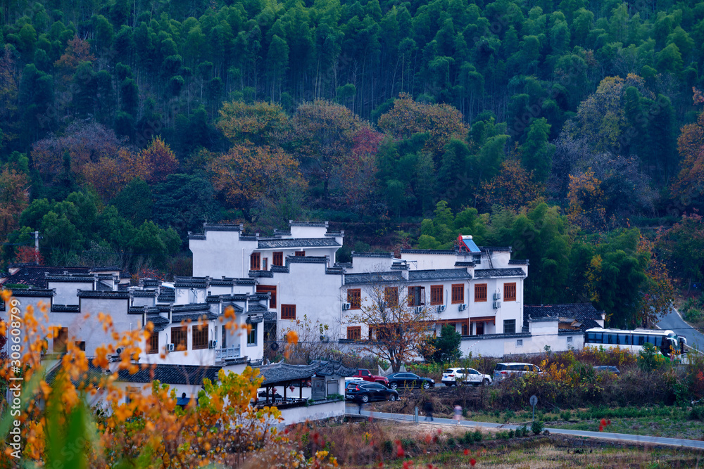 中国山坡上的落叶林中的回族建筑。