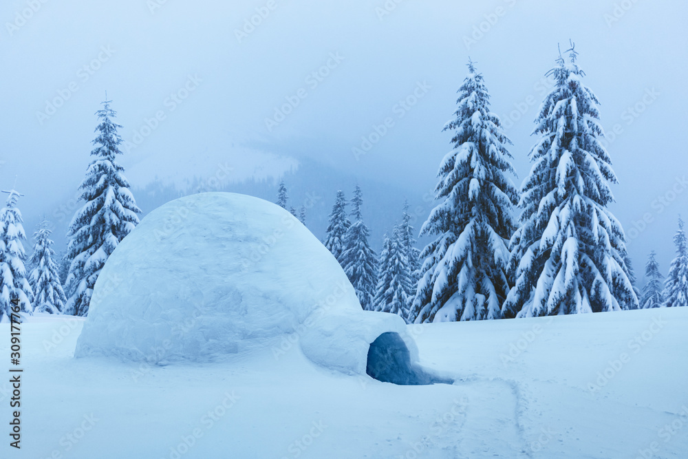 Real snow igloo house in the winter mountains. Snow-covered firs on the background. Foggy forest wit