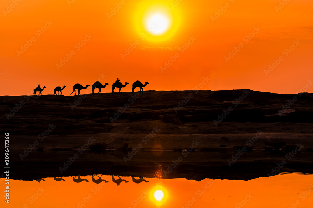 令人惊叹的日落和日出。骆驼商队在湖面上穿行的剪影。矢量插图
