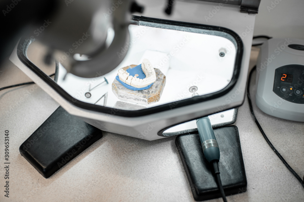 实验室保护箱中用于植入物建模的人工颌