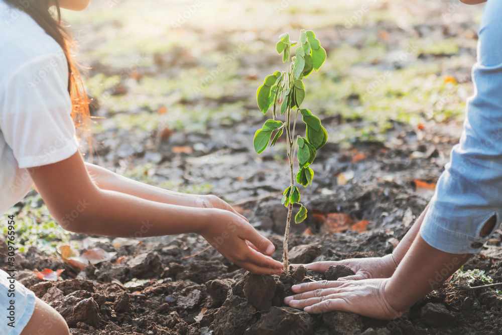 儿童和母亲帮助种植小树。生态概念