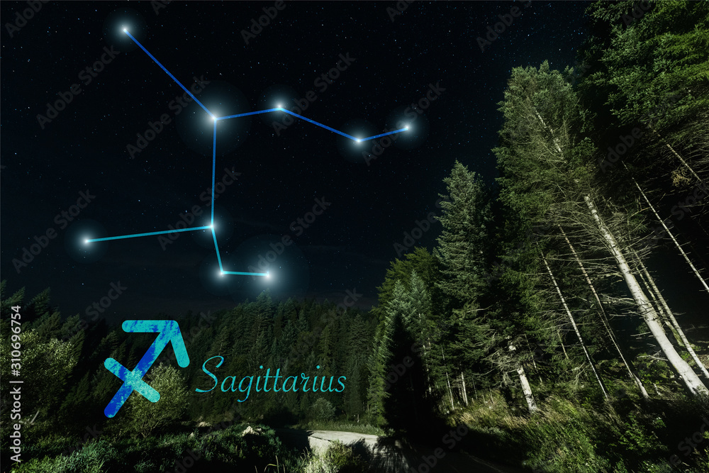 dark landscape with trees, night starry sky and Sagittarius constellation