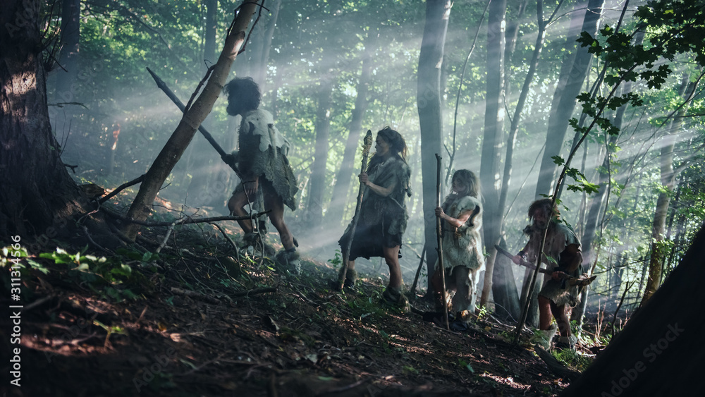 猎人采集者部落，穿着兽皮，拿着石头倾斜的工具，探索史前森林