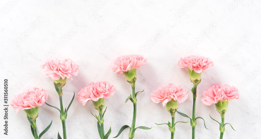 美丽优雅的粉色康乃馨花，在明亮的白色大理石桌子背景上，Mothe的概念