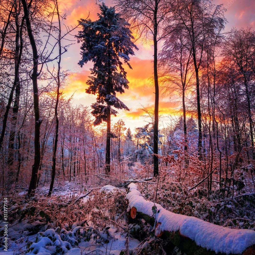 戏剧性的冬季日落，野外色彩鲜艳