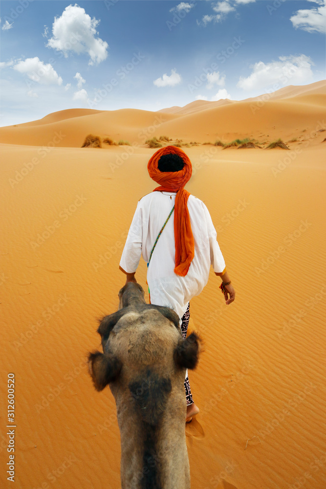 撒哈拉沙漠中的骆驼商队
