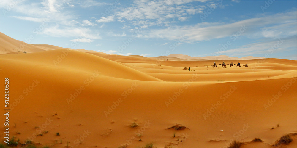 撒哈拉沙漠中的骆驼商队
