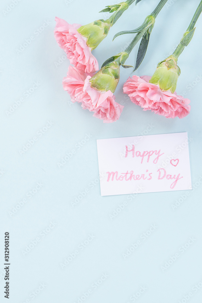 Beautiful, elegant pink carnation flower over bright light blue table background, concept of Mother