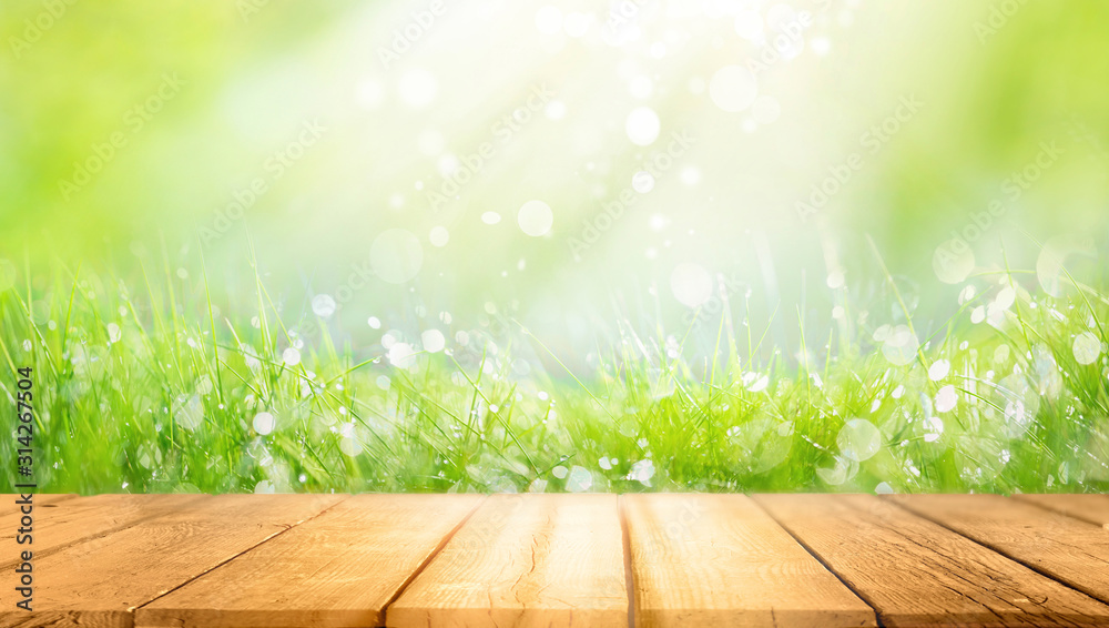 美丽的春天自然背景，绿色新鲜多汁的嫩草和纳空的木桌