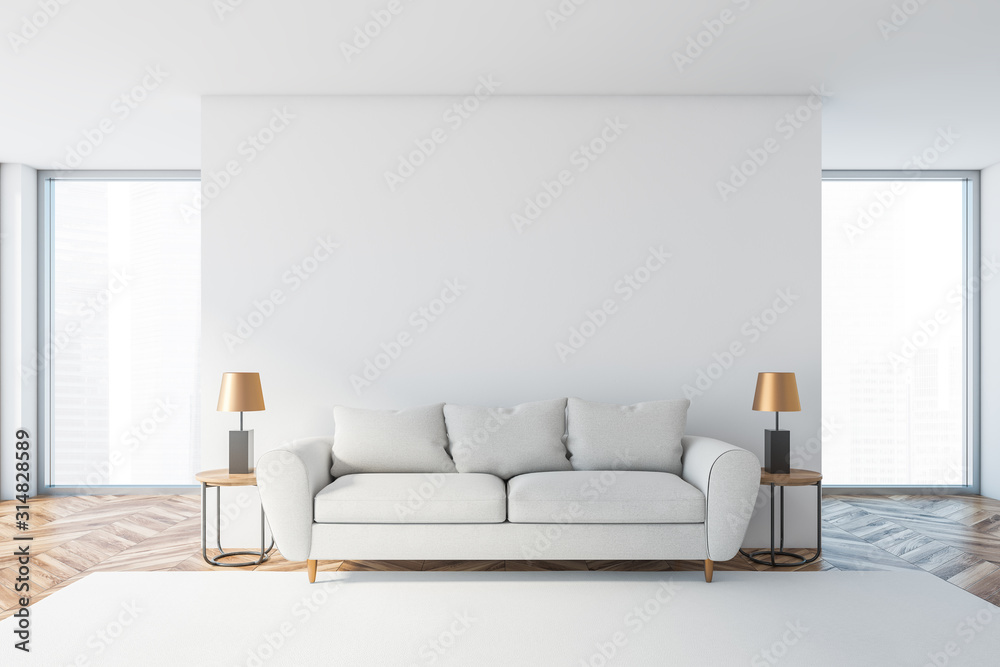 White living room interior with white sofa