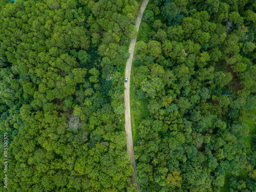 清莱省高山上穿过绿色森林的公路上的汽车鸟瞰图