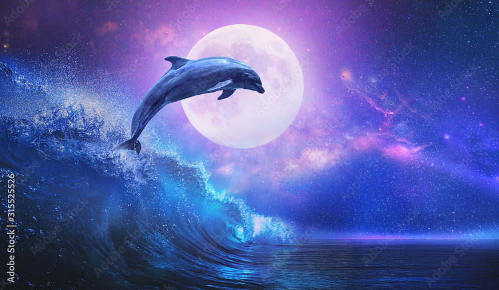 夜晚的海洋，嬉戏的海豚在冲浪波上从海里跳出来，满月照耀着热带